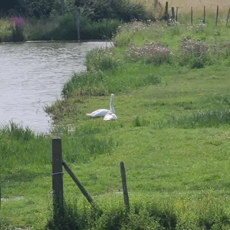 Les Geais Bleus アパート *