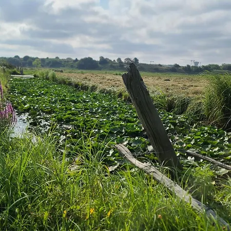Les Geais Bleus アパート ロワイヤン