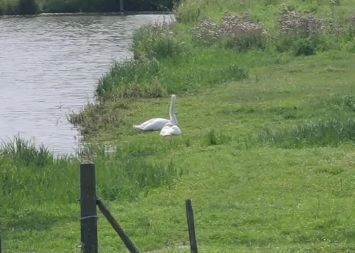 Les Geais Bleus Apartment *
