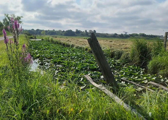 Les Geais Bleus Apartment Royan